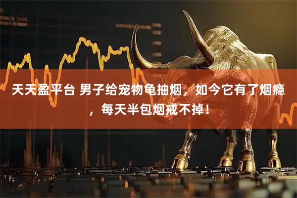 天天盈平台 男子给宠物龟抽烟，如今它有了烟瘾，每天半包烟戒不掉！