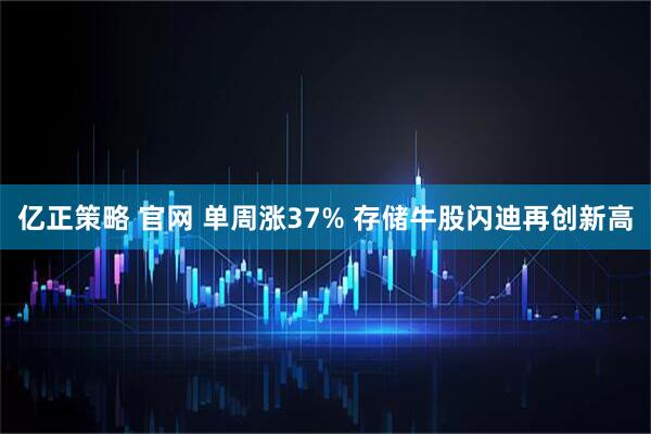 亿正策略 官网 单周涨37% 存储牛股闪迪再创新高